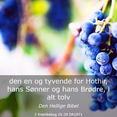 Picture 03 - 1 Krønikebog 25:28 DA1871 - den en og tyvende for Hothir, hans Sønner og - Bible Verse Picture