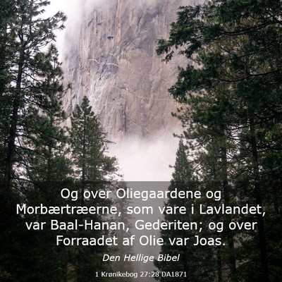 Picture 03 - 1 Krønikebog 27:28 DA1871 - Og over Oliegaardene og Morbærtræerne, som vare - Bible Verse Picture