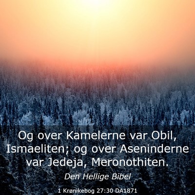 Picture 03 - 1 Krønikebog 27:30 DA1871 - Og over Kamelerne var Obil, Ismaeliten; og over - Bible Verse Picture