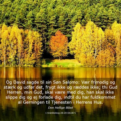 Picture 03 - 1 Krønikebog 28:20 DA1871 - Og David sagde til sin Søn Salomo: Vær frimodig - Bible Verse Picture