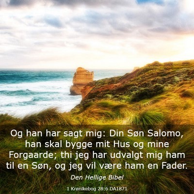Picture 03 - 1 Krønikebog 28:6 DA1871 - Og han har sagt mig: Din Søn Salomo, han skal - Bible Verse Picture