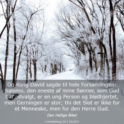 Picture 03 - 1 Krønikebog 29:1 DA1871 - Og Kong David sagde til hele Forsamlingen: - Bible Verse Picture