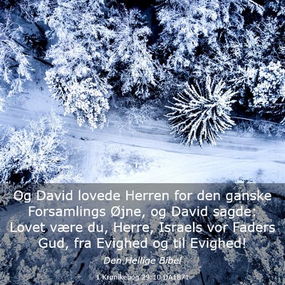 Picture 03 - 1 Krønikebog 29:10 DA1871 - Og David lovede Herren for den ganske Forsamlings - Bible Verse Picture