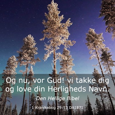 Picture 03 - 1 Krønikebog 29:13 DA1871 - Og nu, vor Gud! vi takke dig og love din - Bible Verse Picture