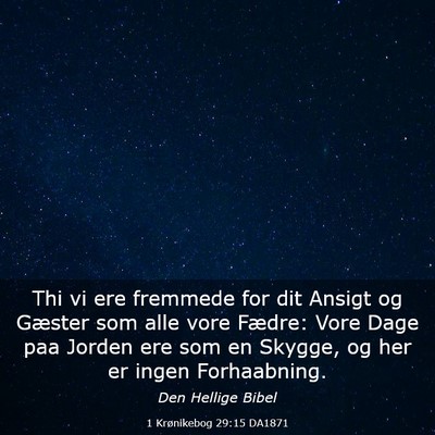 Picture 03 - 1 Krønikebog 29:15 DA1871 - Thi vi ere fremmede for dit Ansigt og Gæster som - Bible Verse Picture