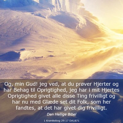 Picture 03 - 1 Krønikebog 29:17 DA1871 - Og, min Gud! jeg ved, at du prøver Hjerter og - Bible Verse Picture