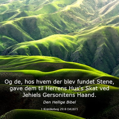 Picture 03 - 1 Krønikebog 29:8 DA1871 - Og de, hos hvem der blev fundet Stene, gave dem - Bible Verse Picture