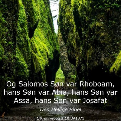 Picture 03 - 1 Krønikebog 3:10 DA1871 - Og Salomos Søn var Rhoboam, hans Søn var Abia, - Bible Verse Picture