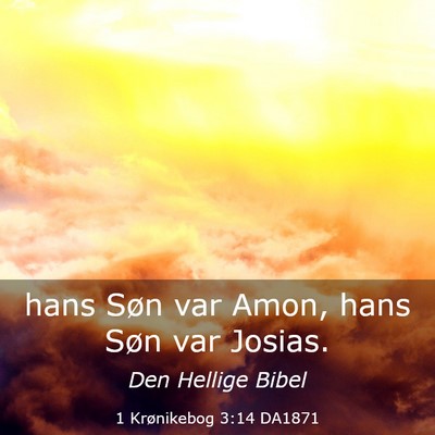 Picture 03 - 1 Krønikebog 3:14 DA1871 - hans Søn var Amon, hans Søn var - Bible Verse Picture