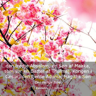 Picture 03 - 1 Krønikebog 3:2 DA1871 - den tredje Absalom, en Søn af Maaka, som var en - Bible Verse Picture