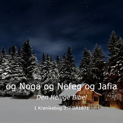 Picture 03 - 1 Krønikebog 3:7 DA1871 - og Noga og Nefeg og - Bible Verse Picture