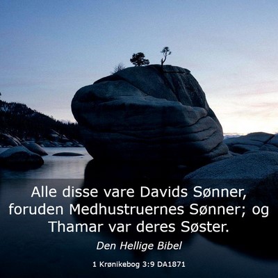 Picture 03 - 1 Krønikebog 3:9 DA1871 - Alle disse vare Davids Sønner, foruden - Bible Verse Picture