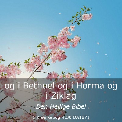 Picture 03 - 1 Krønikebog 4:30 DA1871 - og i Bethuel og i Horma og i - Bible Verse Picture