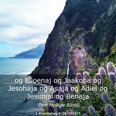 Picture 03 - 1 Krønikebog 4:36 DA1871 - og Elioenaj og Jaakoba og Jesohaja og Asaja og - Bible Verse Picture