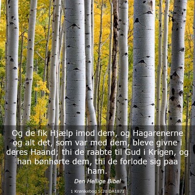 Picture 03 - 1 Krønikebog 5:20 DA1871 - Og de fik Hjælp imod dem, og Hagarenerne og alt - Bible Verse Picture