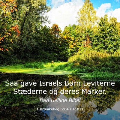 Picture 03 - 1 Krønikebog 6:64 DA1871 - Saa gave Israels Børn Leviterne Stæderne og - Bible Verse Picture