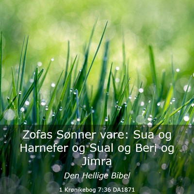 Picture 03 - 1 Krønikebog 7:36 DA1871 - Zofas Sønner vare: Sua og Harnefer og Sual og - Bible Verse Picture