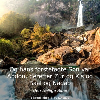 Picture 03 - 1 Krønikebog 8:30 DA1871 - Og hans førstefødte Søn var Abdon, derefter - Bible Verse Picture