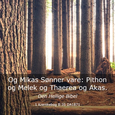 Picture 03 - 1 Krønikebog 8:35 DA1871 - Og Mikas Sønner vare: Pithon og Melek og Thaerea - Bible Verse Picture