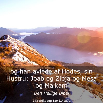 Picture 03 - 1 Krønikebog 8:9 DA1871 - og han avlede af Hodes, sin Hustru: Joab og Zibja - Bible Verse Picture