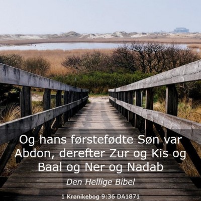 Picture 03 - 1 Krønikebog 9:36 DA1871 - Og hans førstefødte Søn var Abdon, derefter - Bible Verse Picture