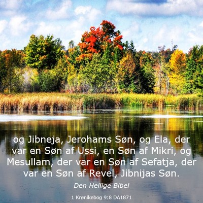 Picture 03 - 1 Krønikebog 9:8 DA1871 - og Jibneja, Jerohams Søn, og Ela, der var en - Bible Verse Picture