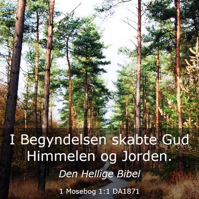 Picture 03 - 1 Mosebog 1:1 DA1871 - I Begyndelsen skabte Gud Himmelen og - Bible Verse Picture