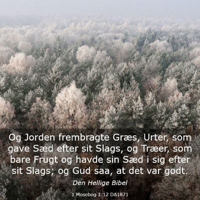Picture 03 - 1 Mosebog 1:12 DA1871 - Og Jorden frembragte Græs, Urter, som gave Sæd - Bible Verse Picture
