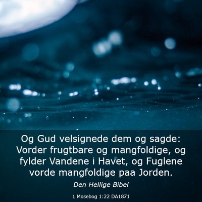 Picture 03 - 1 Mosebog 1:22 DA1871 - Og Gud velsignede dem og sagde: Vorder frugtbare - Bible Verse Picture