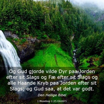 Picture 03 - 1 Mosebog 1:25 DA1871 - Og Gud gjorde vilde Dyr paa Jorden efter sit - Bible Verse Picture