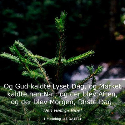 Picture 03 - 1 Mosebog 1:5 DA1871 - Og Gud kaldte Lyset Dag, og Mørket kaldte han - Bible Verse Picture