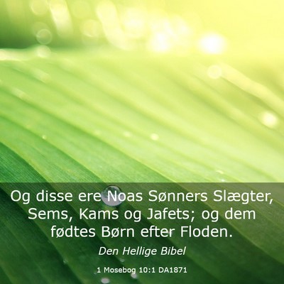 Picture 03 - 1 Mosebog 10:1 DA1871 - Og disse ere Noas Sønners Slægter, Sems, Kams - Bible Verse Picture