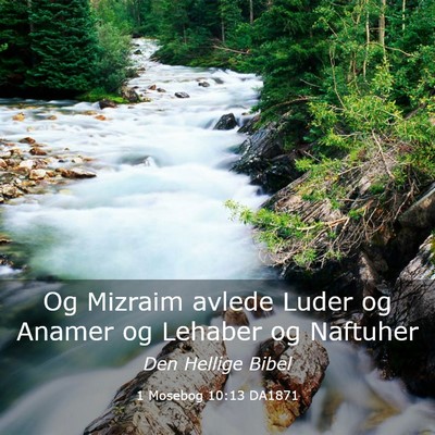 Picture 03 - 1 Mosebog 10:13 DA1871 - Og Mizraim avlede Luder og Anamer og Lehaber og - Bible Verse Picture