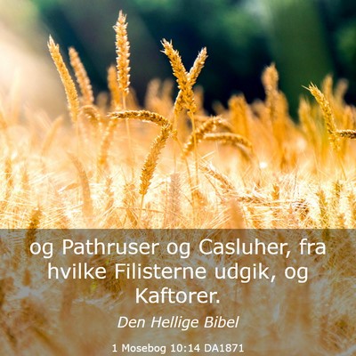 Picture 03 - 1 Mosebog 10:14 DA1871 - og Pathruser og Casluher, fra hvilke Filisterne - Bible Verse Picture