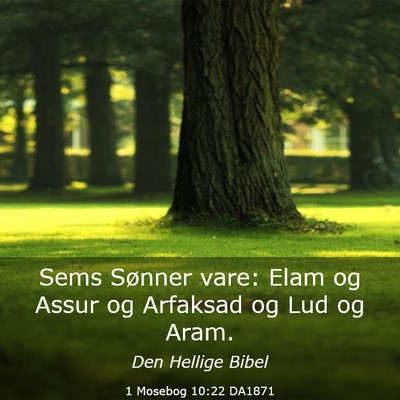 Picture 03 - 1 Mosebog 10:22 DA1871 - Sems Sønner vare: Elam og Assur og Arfaksad og - Bible Verse Picture