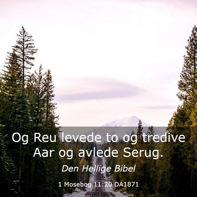 Picture 03 - 1 Mosebog 11:20 DA1871 - Og Reu levede to og tredive Aar og avlede - Bible Verse Picture