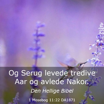 Picture 03 - 1 Mosebog 11:22 DA1871 - Og Serug levede tredive Aar og avlede - Bible Verse Picture
