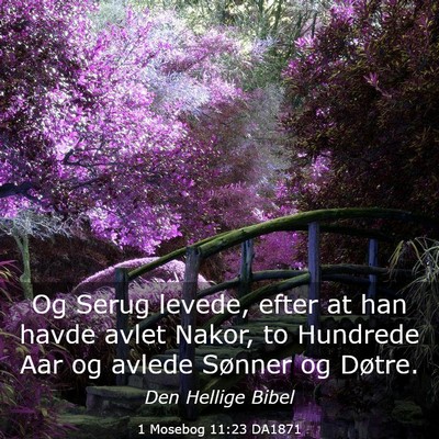 Picture 03 - 1 Mosebog 11:23 DA1871 - Og Serug levede, efter at han havde avlet Nakor, - Bible Verse Picture