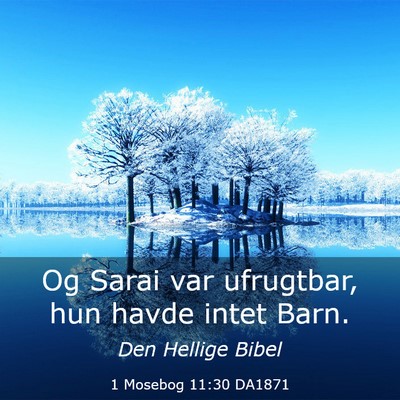 Picture 03 - 1 Mosebog 11:30 DA1871 - Og Sarai var ufrugtbar, hun havde intet - Bible Verse Picture