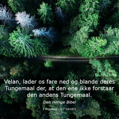 Picture 03 - 1 Mosebog 11:7 DA1871 - Velan, lader os fare ned og blande deres - Bible Verse Picture