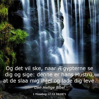 Picture 03 - 1 Mosebog 12:12 DA1871 - Og det vil ske, naar Ægypterne se dig og sige: - Bible Verse Picture