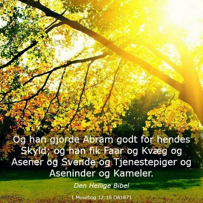 Picture 03 - 1 Mosebog 12:16 DA1871 - Og han gjorde Abram godt for hendes Skyld; og han - Bible Verse Picture