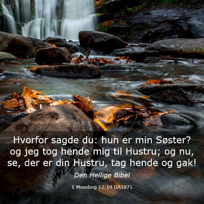 Picture 03 - 1 Mosebog 12:19 DA1871 - Hvorfor sagde du: hun er min Søster? og jeg tog - Bible Verse Picture