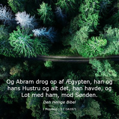 Picture 03 - 1 Mosebog 13:1 DA1871 - Og Abram drog op af Ægypten, han og hans Hustru - Bible Verse Picture