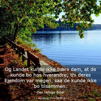 Picture 03 - 1 Mosebog 13:6 DA1871 - Og Landet kunde ikke bære dem, at de kunde bo - Bible Verse Picture