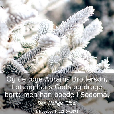 Picture 03 - 1 Mosebog 14:12 DA1871 - Og de toge Abrams Brodersøn, Lot, og hans Gods - Bible Verse Picture