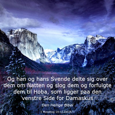 Picture 03 - 1 Mosebog 14:15 DA1871 - Og han og hans Svende delte sig over dem om - Bible Verse Picture