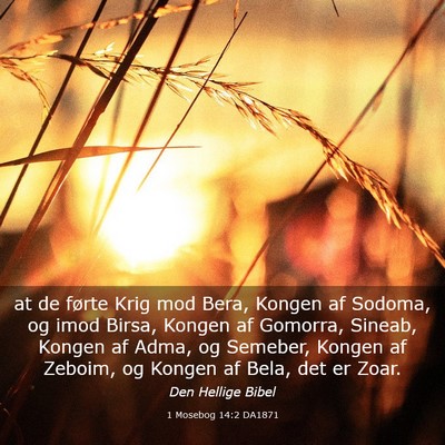 Picture 03 - 1 Mosebog 14:2 DA1871 - at de førte Krig mod Bera, Kongen af Sodoma, og - Bible Verse Picture