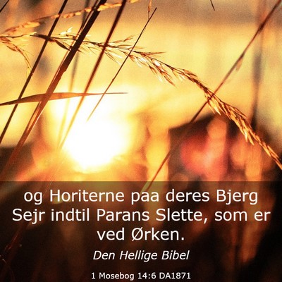 Picture 03 - 1 Mosebog 14:6 DA1871 - og Horiterne paa deres Bjerg Sejr indtil Parans - Bible Verse Picture