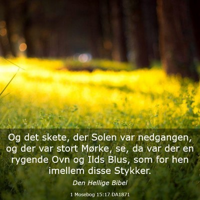 Picture 03 - 1 Mosebog 15:17 DA1871 - Og det skete, der Solen var nedgangen, og der var - Bible Verse Picture